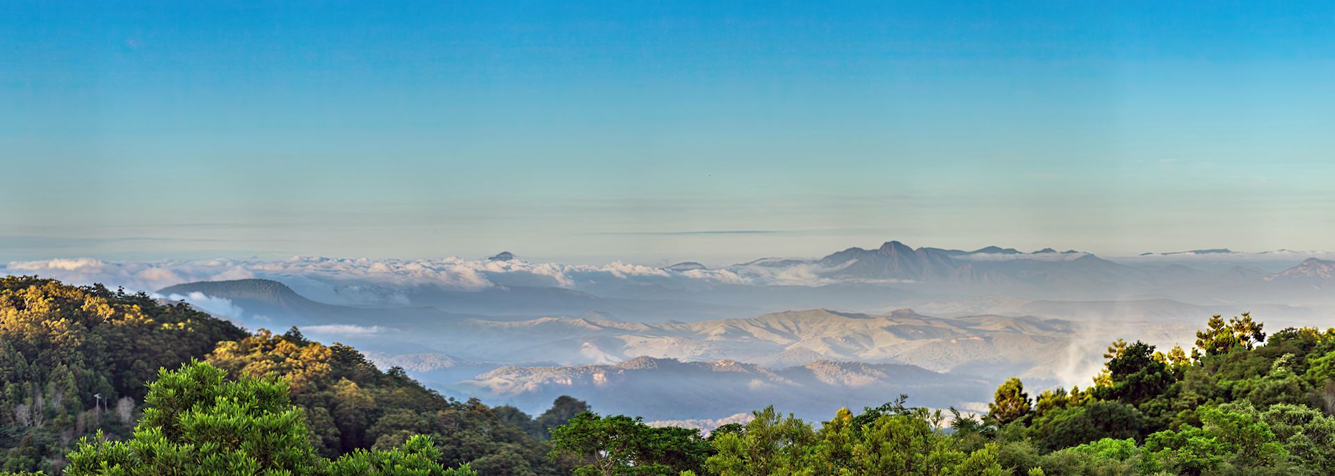 Lamington National Park