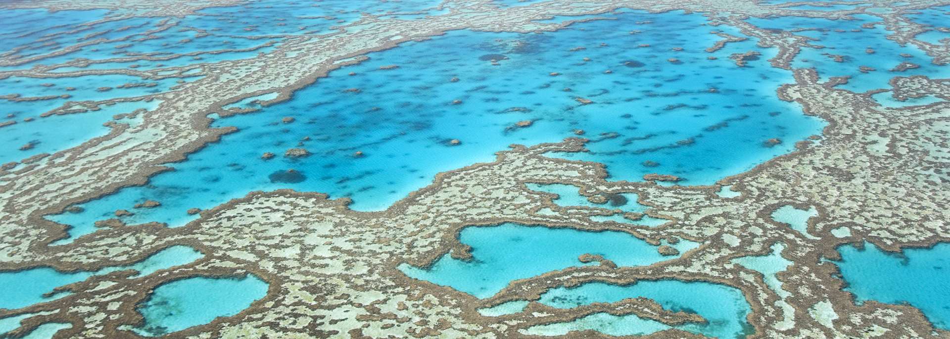 The Great Barrier Reef, Queensland