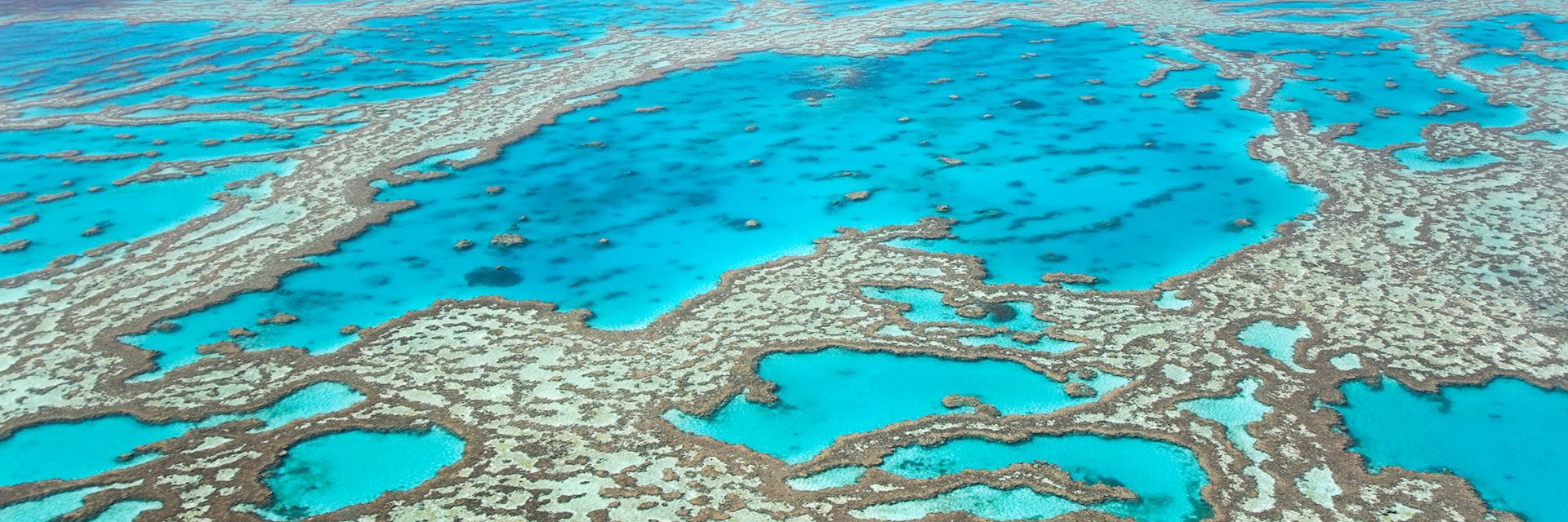 The Great Barrier Reef, Australia