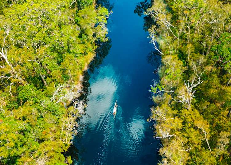 Noosa Everglades, Queensland (© Tourism and Events Queensland)