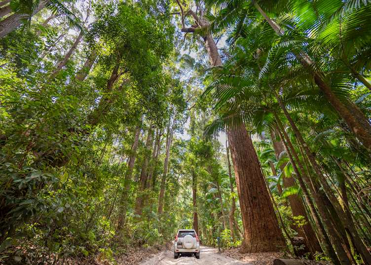 Fraser Island, Queensland (© Tourism and Events Queensland)