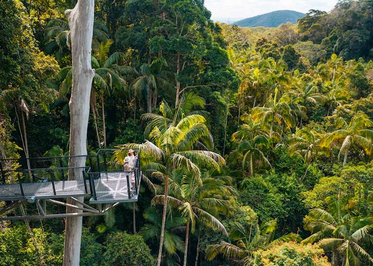 Mount Tamborine, Queensland (© Tourism and Events Queensland)