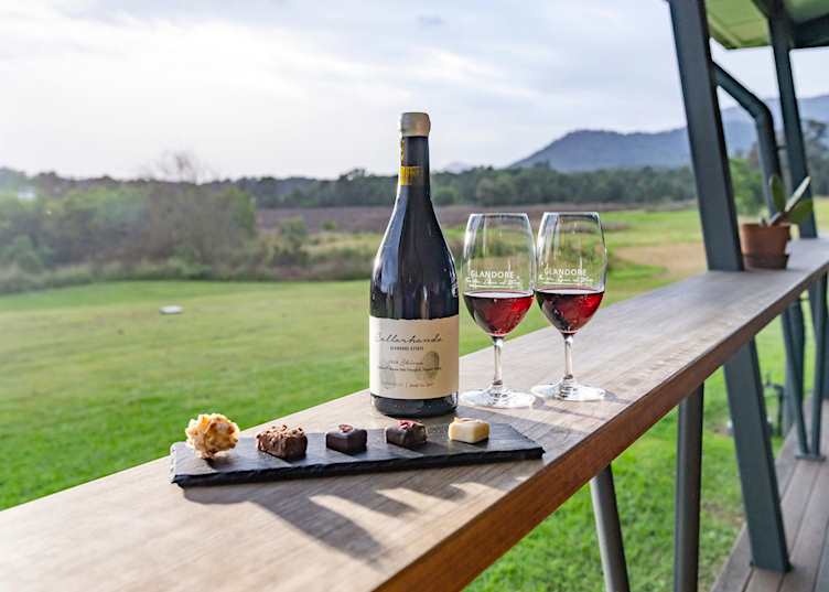 Vineyard in Hunter Valley, NSW (© Destination NSW)