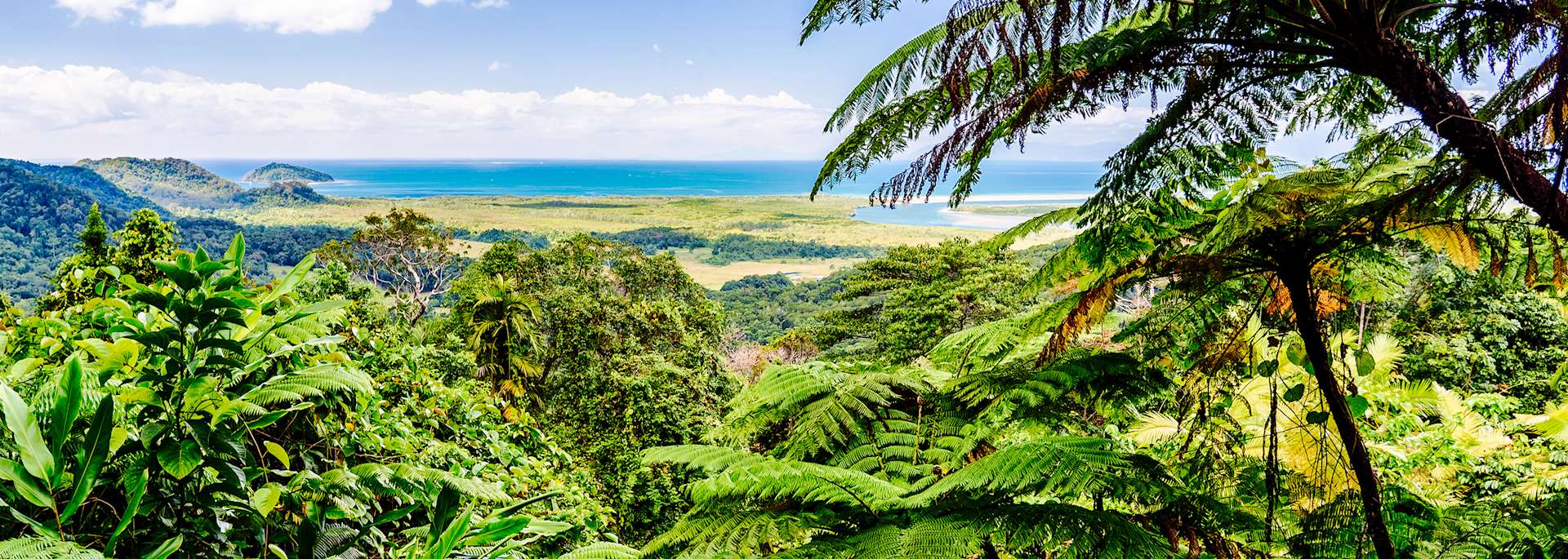 Mount Alexandra Lookout, Daintree Rainforest