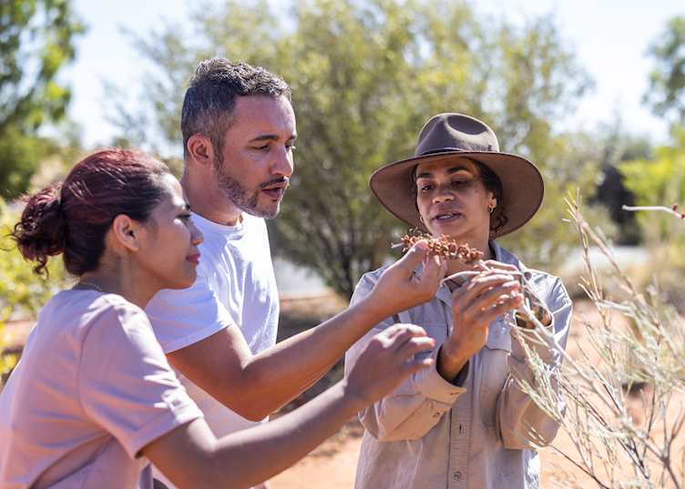 Native Bush walk, Uluṟu-Kata Tjuṯa National Park, Northern Territory