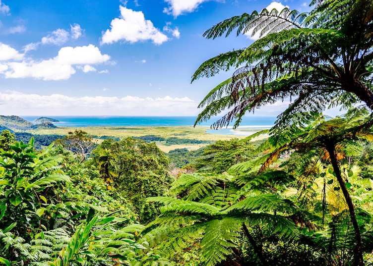 Mount Alexandra Lookout, Daintree Rainforest, Queensland