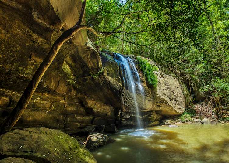Serenity Falls, Buderim Forest Park