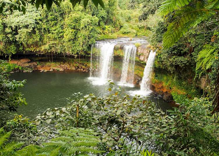 Waterfall, Atherton Tablelands