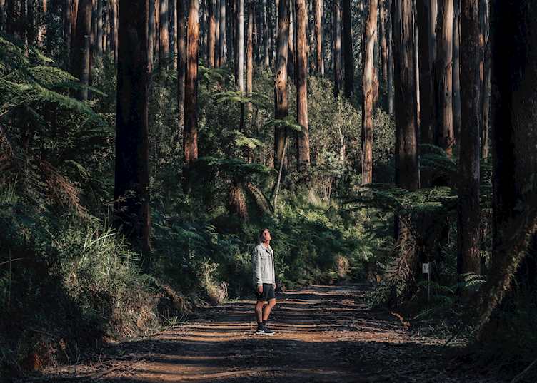 Black Spur (© Santiago Gonzalez Redondo)