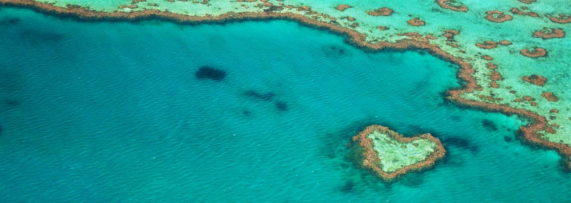 Heart Reef, Great Barrier Reef
