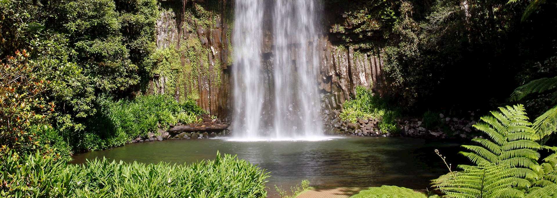Millaa Millaa Falls, Atherton Tablelands