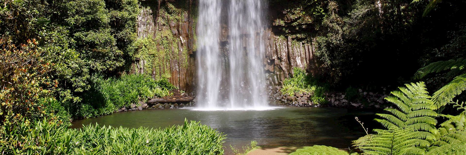 Millaa Millaa Falls, Atherton Tablelands
