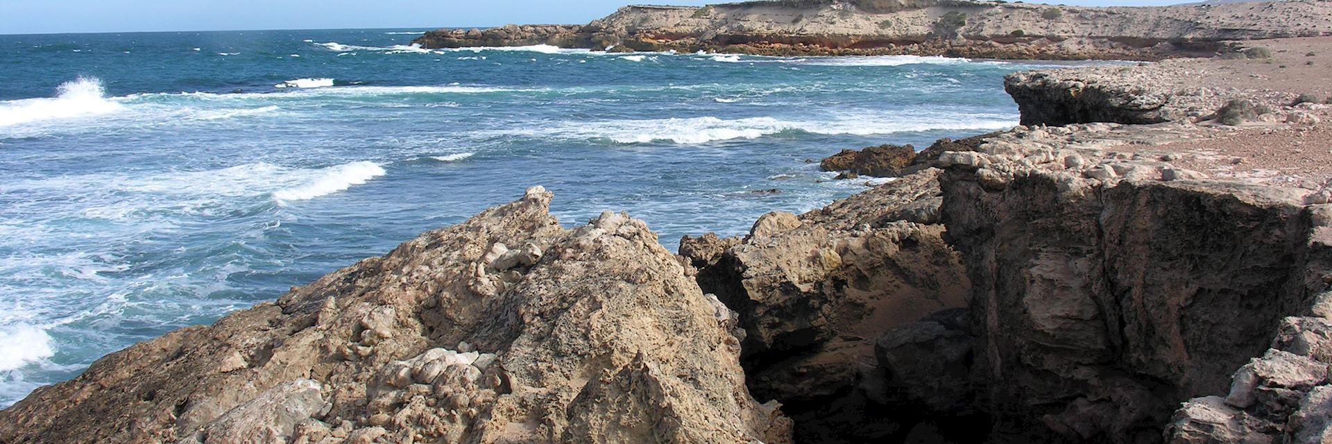 Baird Bay, Eyre Peninsula
