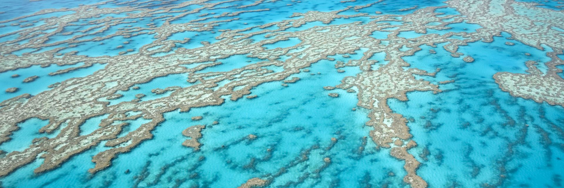 The Great Barrier Reef