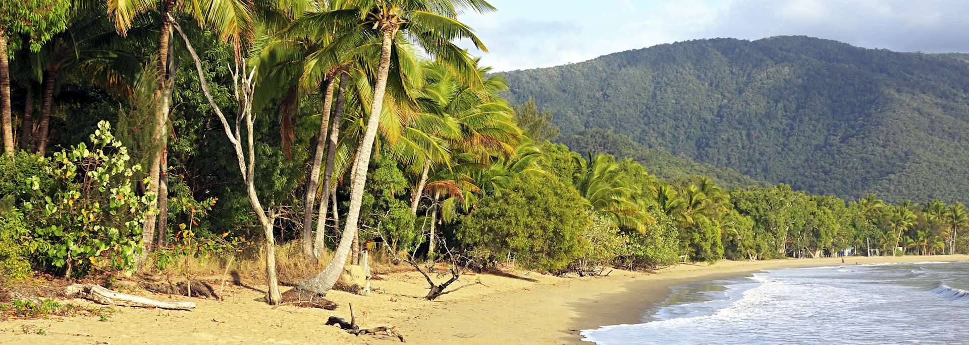 Palm Cove near Cairns