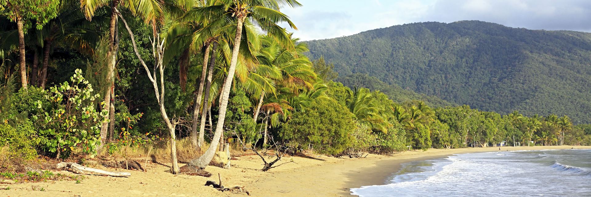 Palm Cove near Cairns