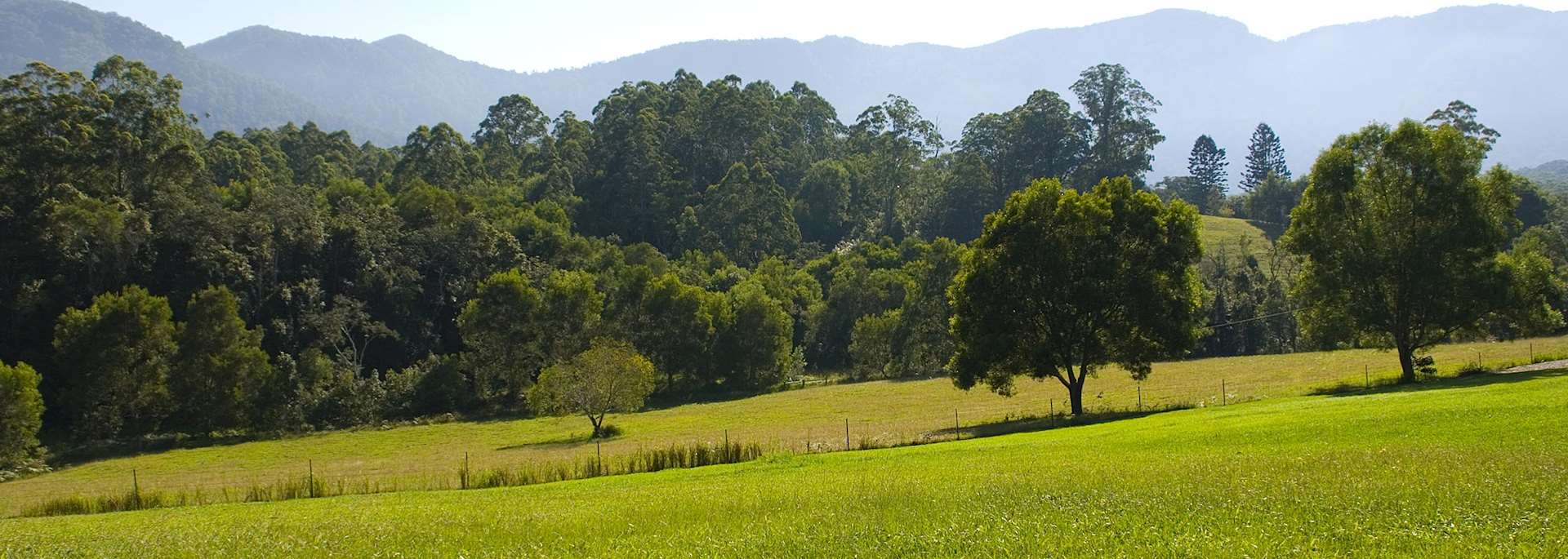 Fields surrounding Bellingen