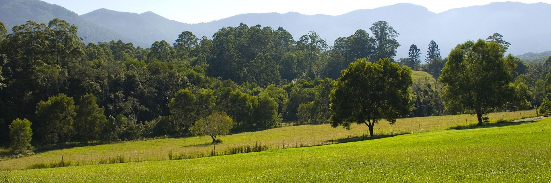 Fields surrounding Bellingen