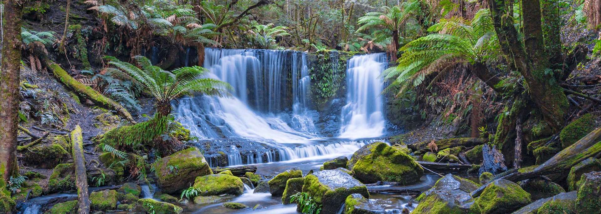 Mount Field National Park