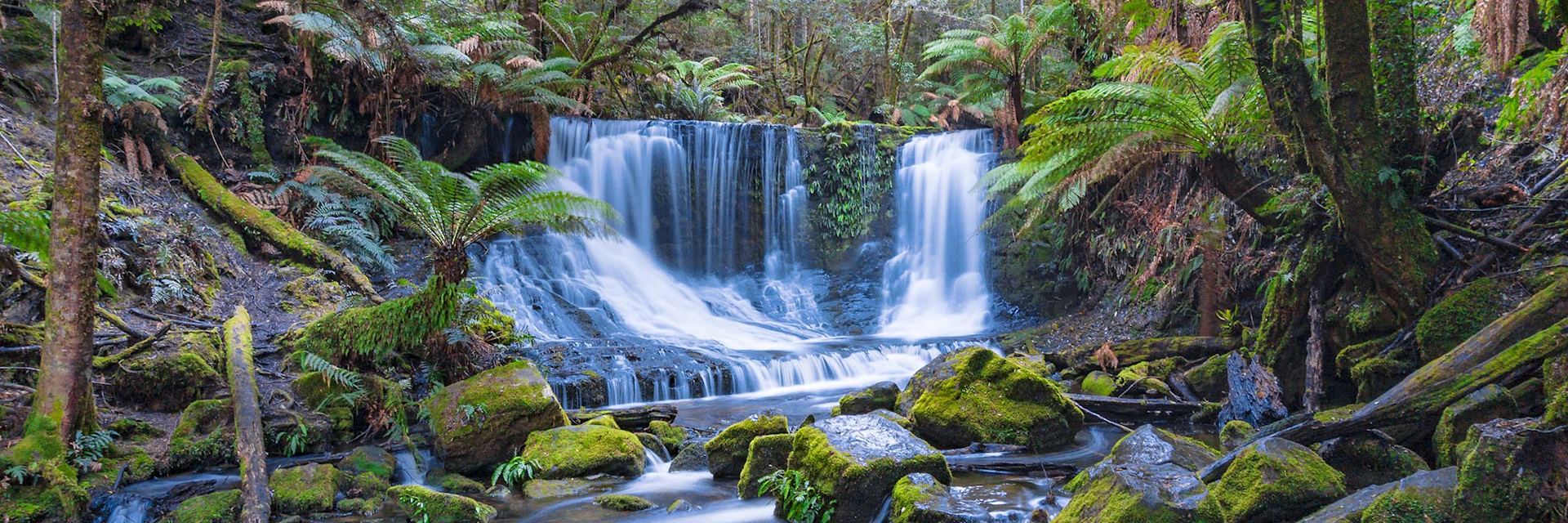 Mount Field National Park