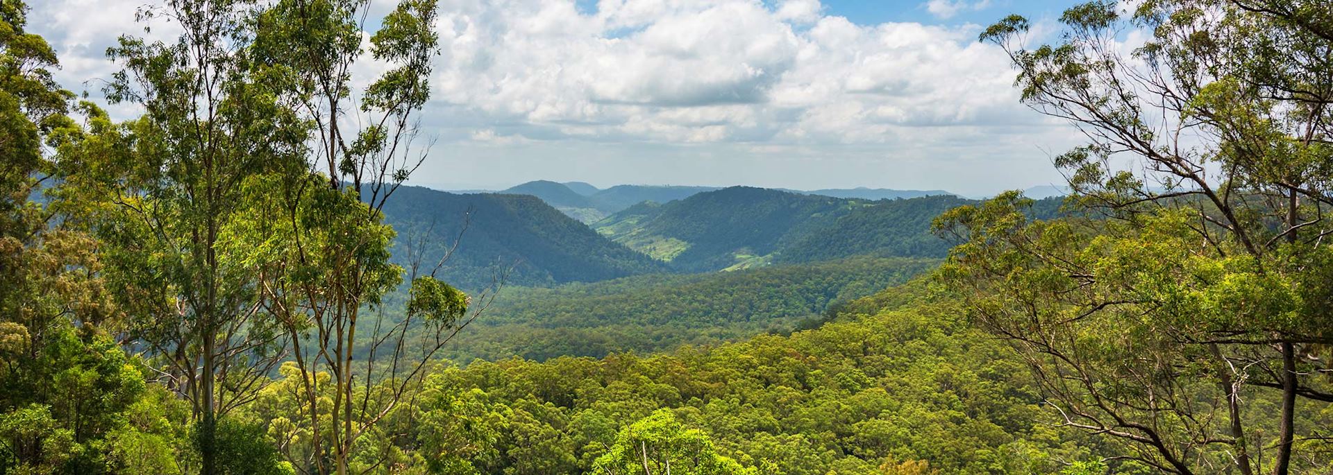 Lamington National Park