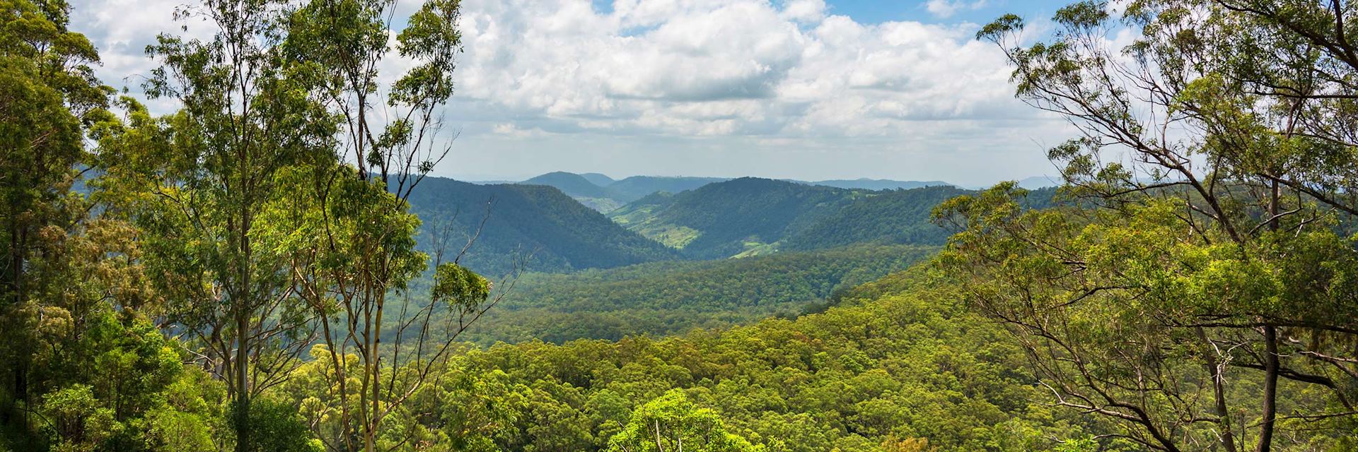 Lamington National Park