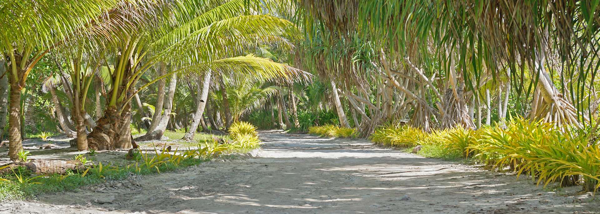 Sandy track on Huahine