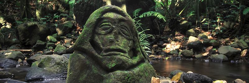 Stone head carving near a marae on Moorea