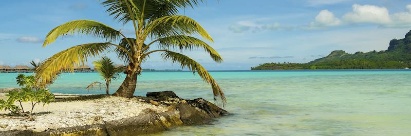 A small palm-fringed island, or motu, on Bora Bora
