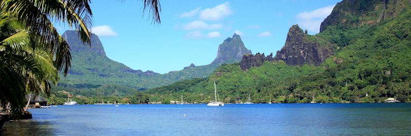 Cook's Bay, Moorea