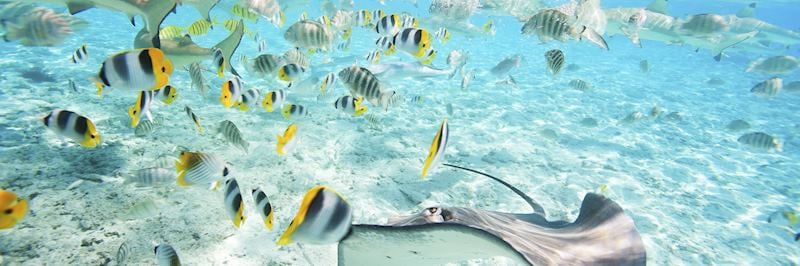 Bora Bora lagoon