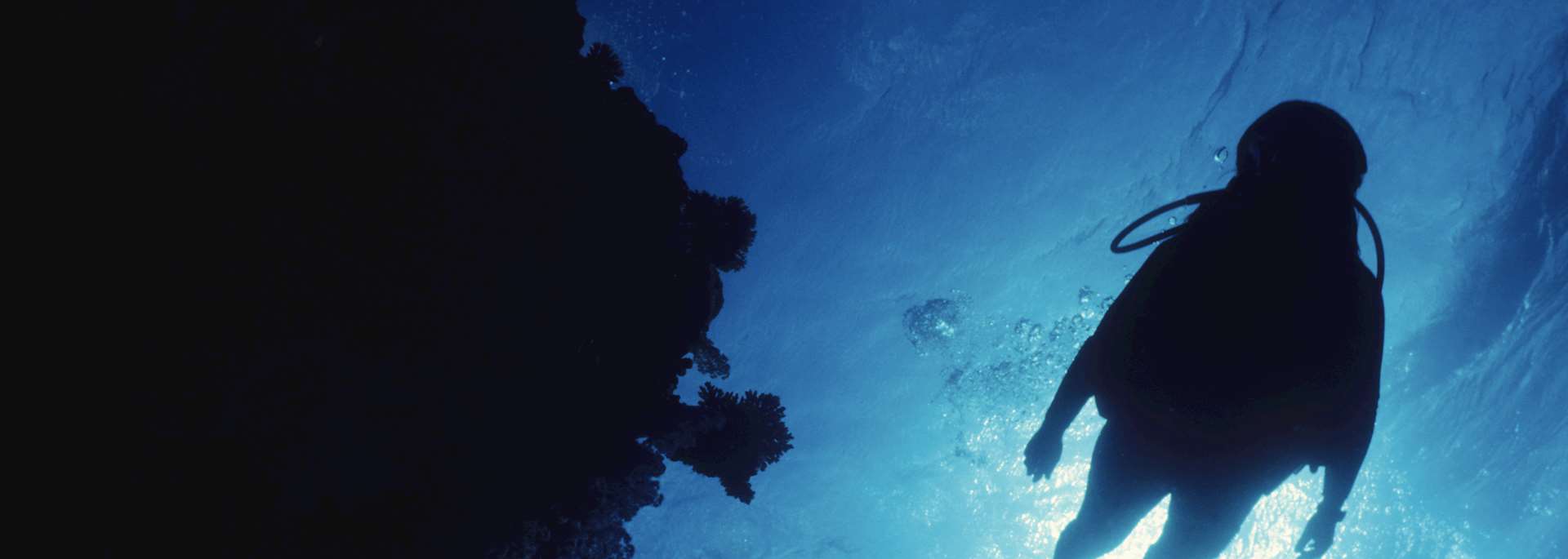 Snorkelling in the South Pacific