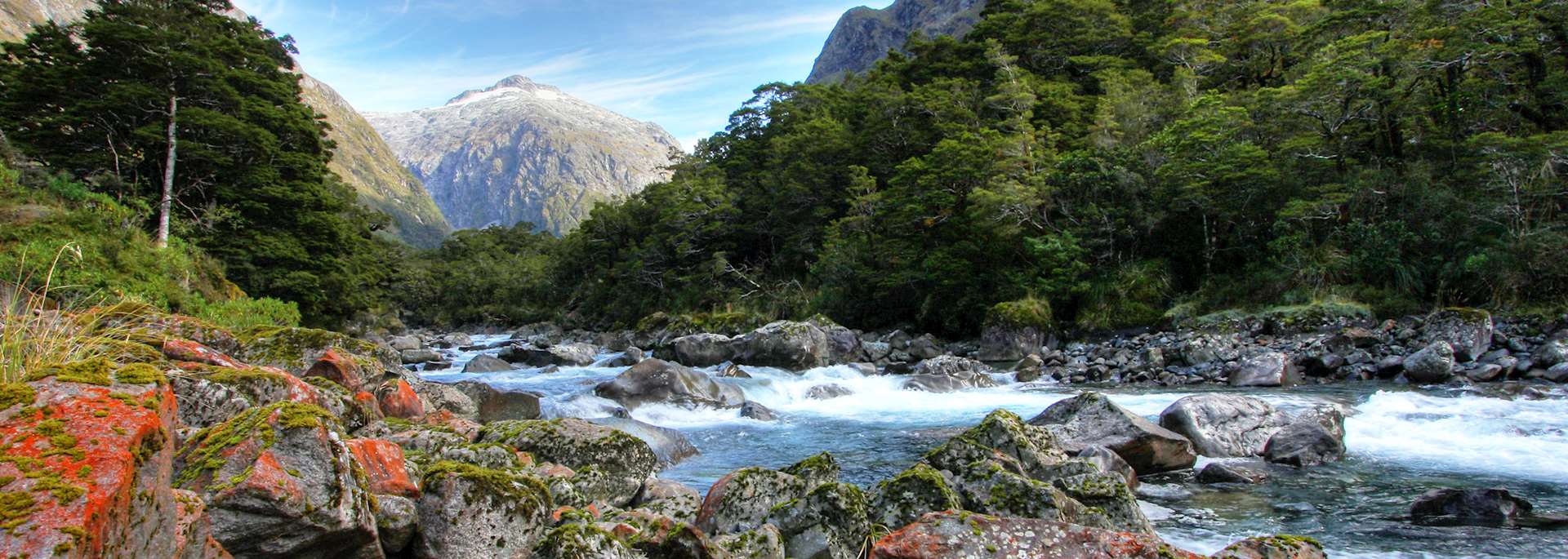 Hollyford Track