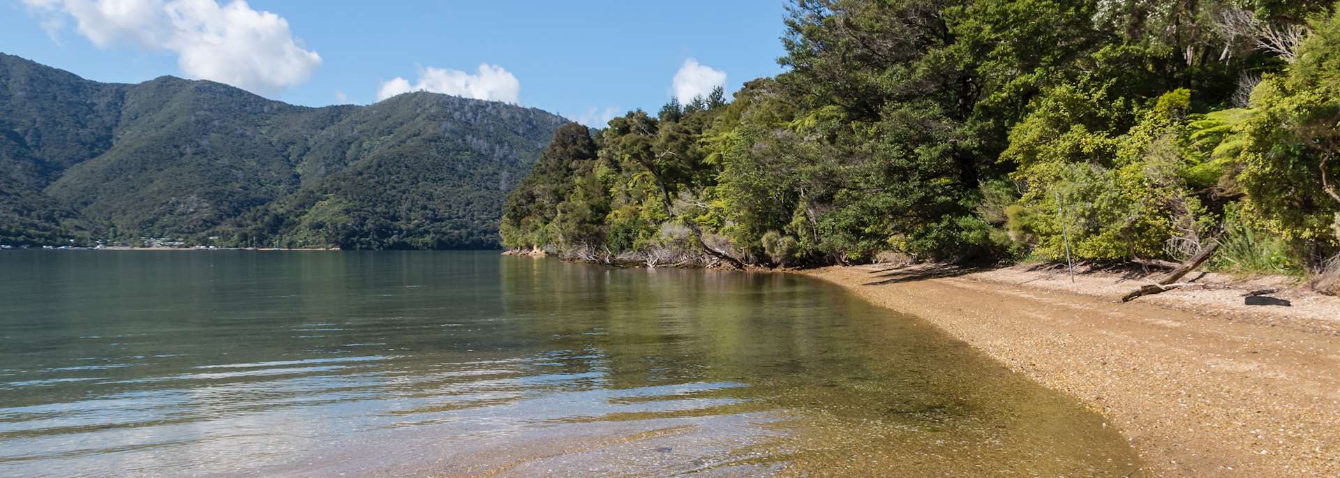 Beach in Queen Charlotte Sound