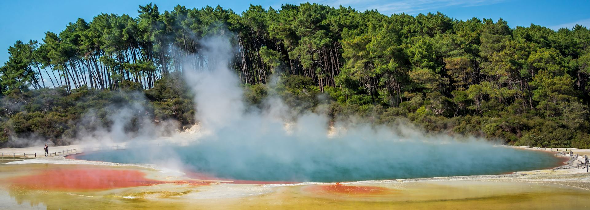 Rotorua thermal activity