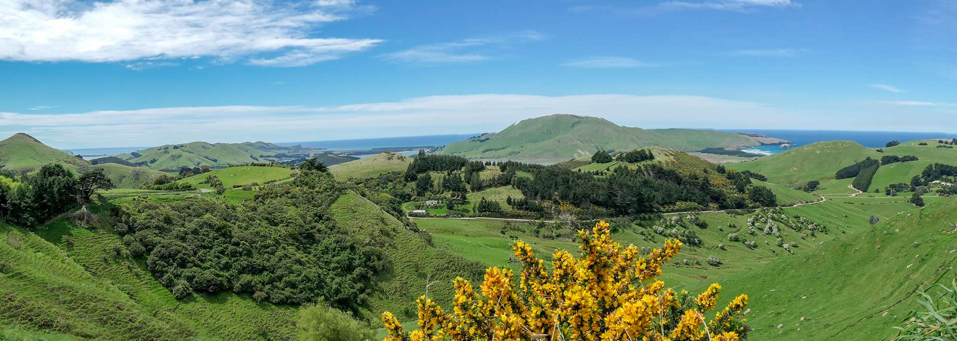 Taiaroa Head, New Zealand