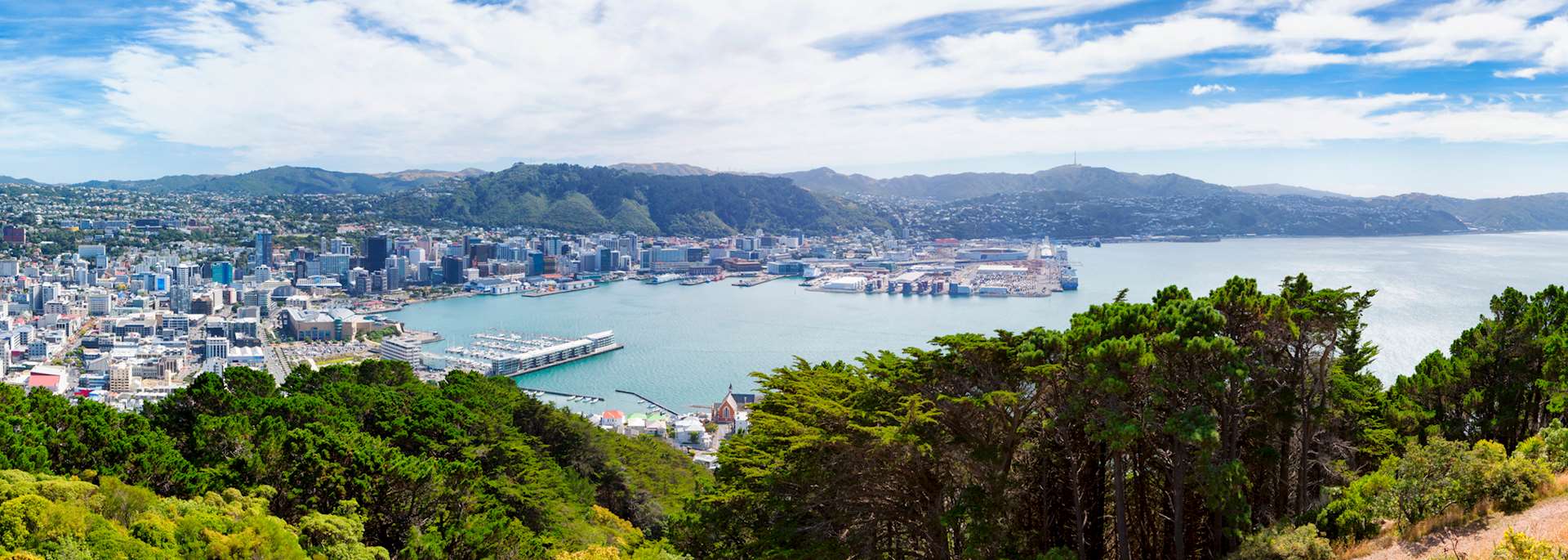 Wellington