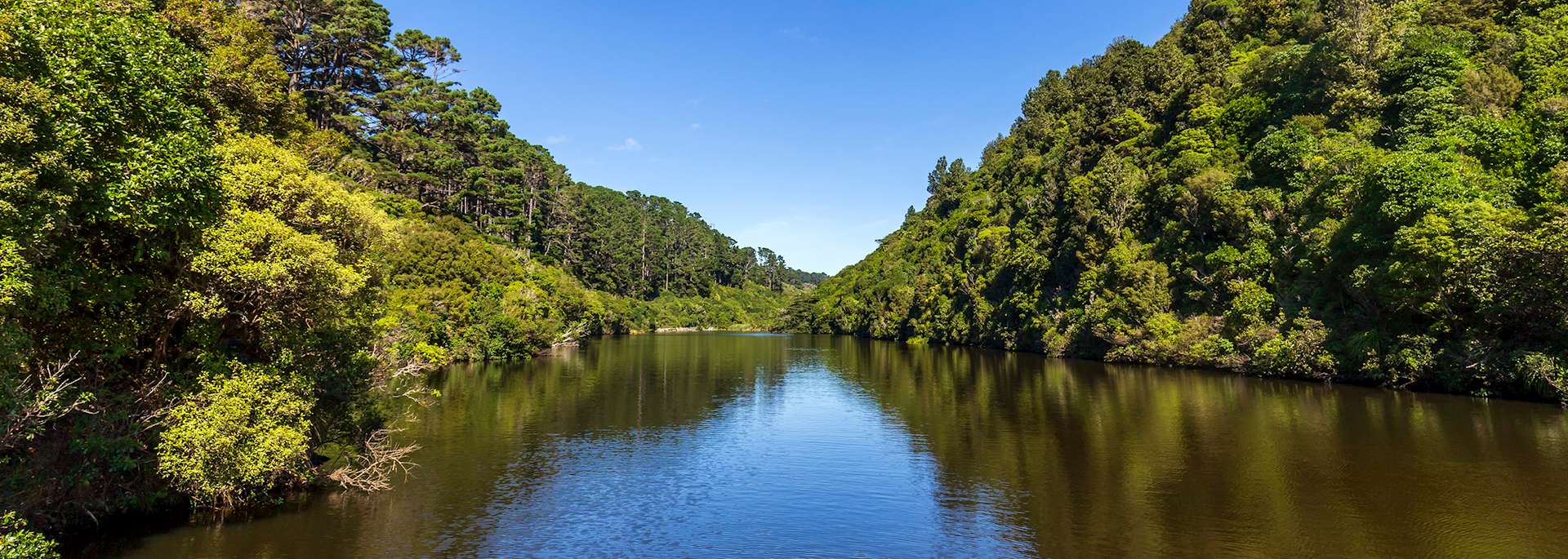 Zealandia