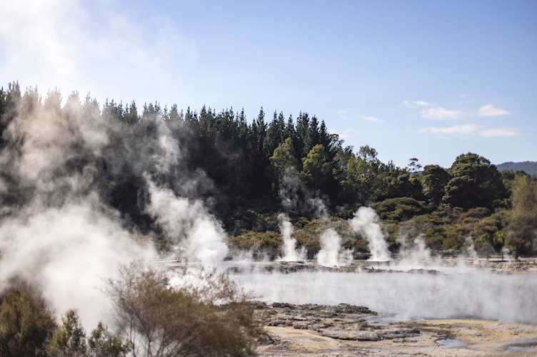 Thermal activity in Rotorua