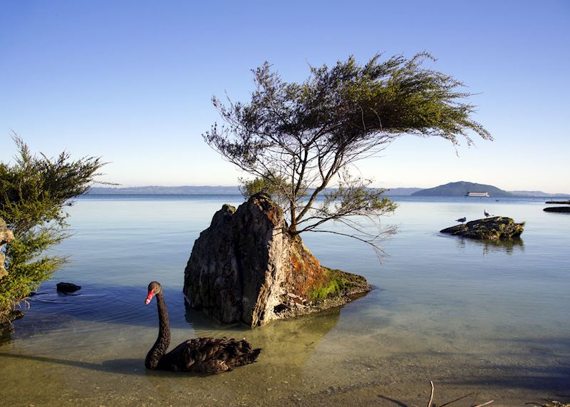 Lake Rotorua