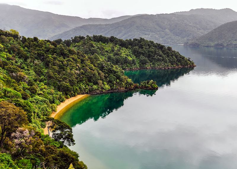 Part of the Queen Charlotte Track, Marlborough Sounds