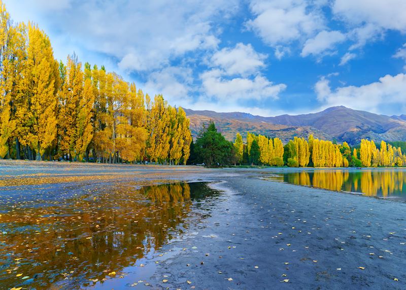 Lake Wanaka