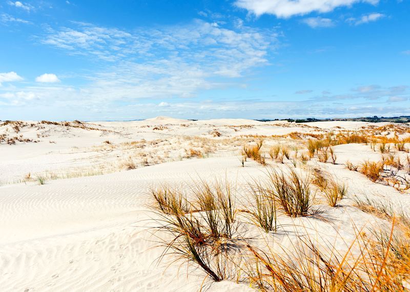 Mangawhai Heads, North Island