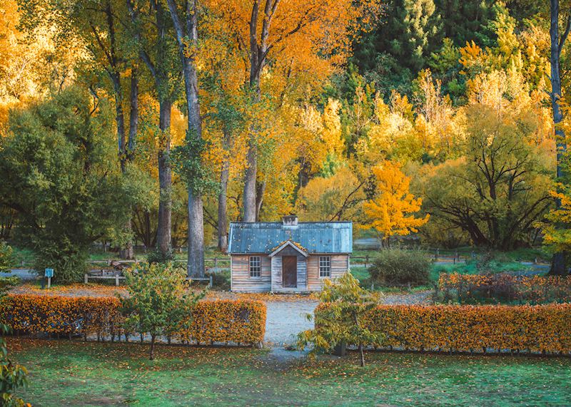 Historic hut, Arrowtown