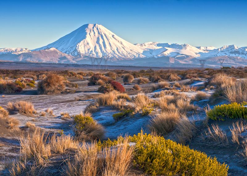 Mount Ngauruhoe, Tongariro National Park