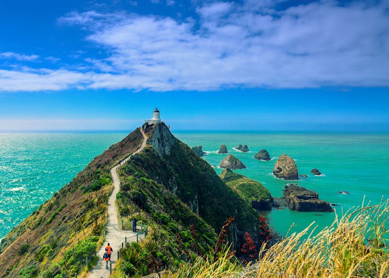 Nugget Point, the Catlins