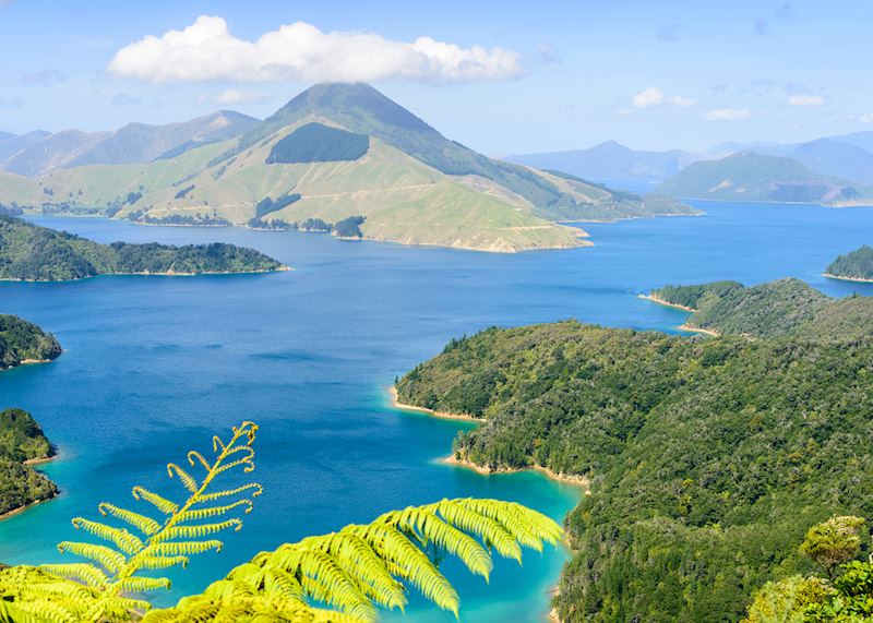 Wairangi Bay, Marlborough Sounds
