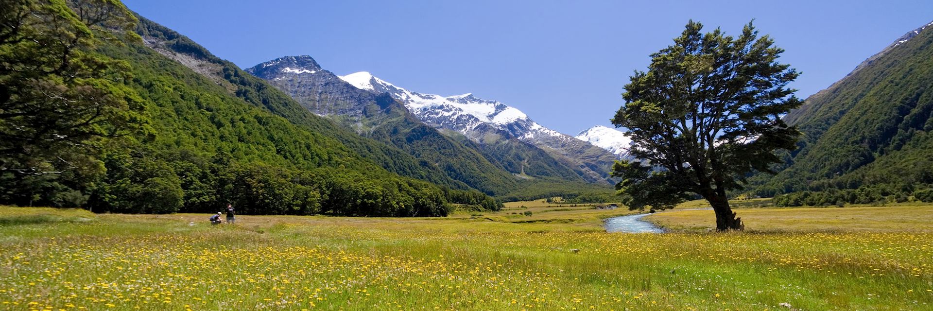 Mount Aspiring Nation Park