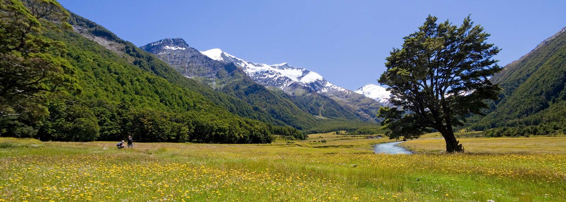 Mount Aspiring National Park, Wanaka