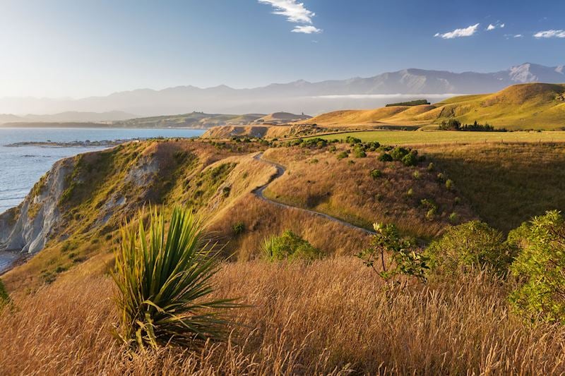 Kaikoura coastline